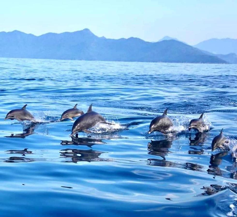 Pousada Costao Do Sol Angra dos Reis Exterior photo